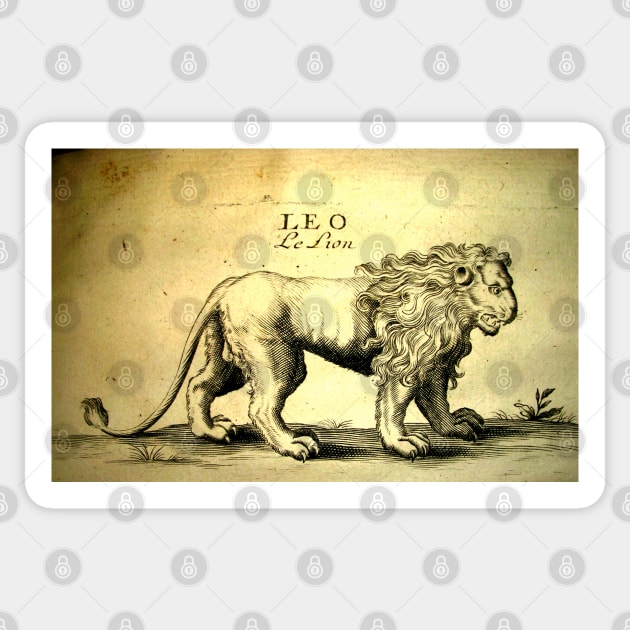 Lion Antique Engraving Sticker by chilangopride